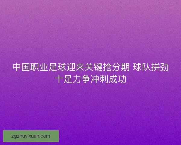 中国职业足球迎来关键抢分期 球队拼劲十足力争冲刺成功 中国职业足球迎来关键抢分期 球队拼劲十足力争冲刺成功